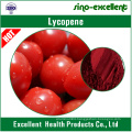 Lycopene natural tomato extract